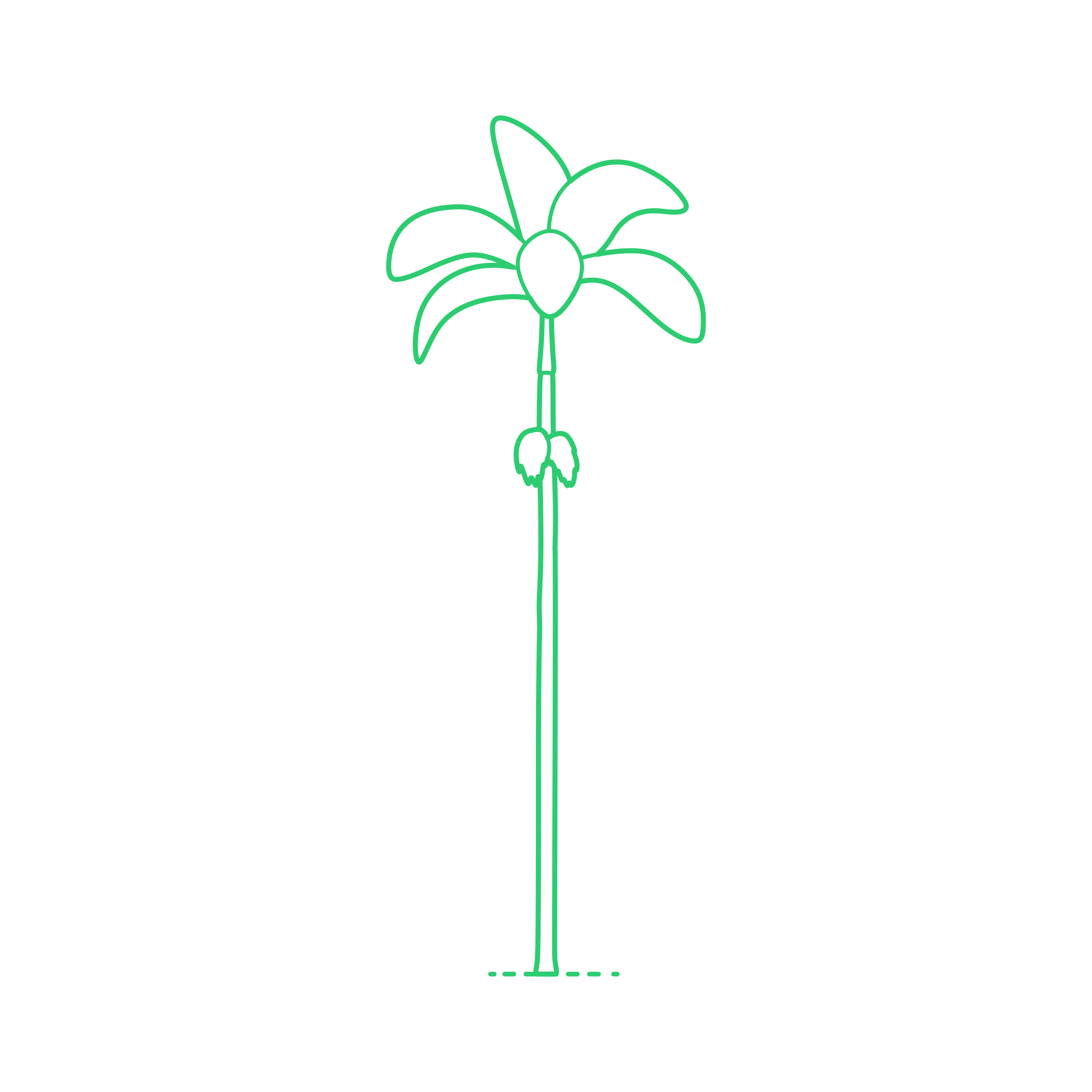 Plants Palms Alexandra Palm Outline Svg Vector Free Vectors
